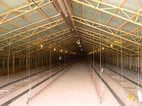 metal chicken house truss|chicken house trusses tractorbynet.